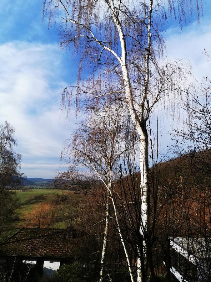 Geraeumige 2-Z Wohnung Im Gruenen, Garten, Terrasse, Ruhig, Natur, Phantastischer Blick! Marburg Екстер'єр фото