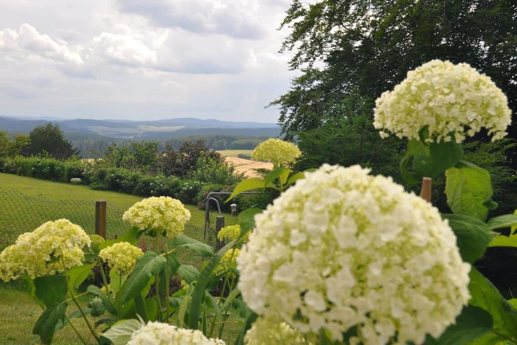 Geraeumige 2-Z Wohnung Im Gruenen, Garten, Terrasse, Ruhig, Natur, Phantastischer Blick! Marburg Екстер'єр фото