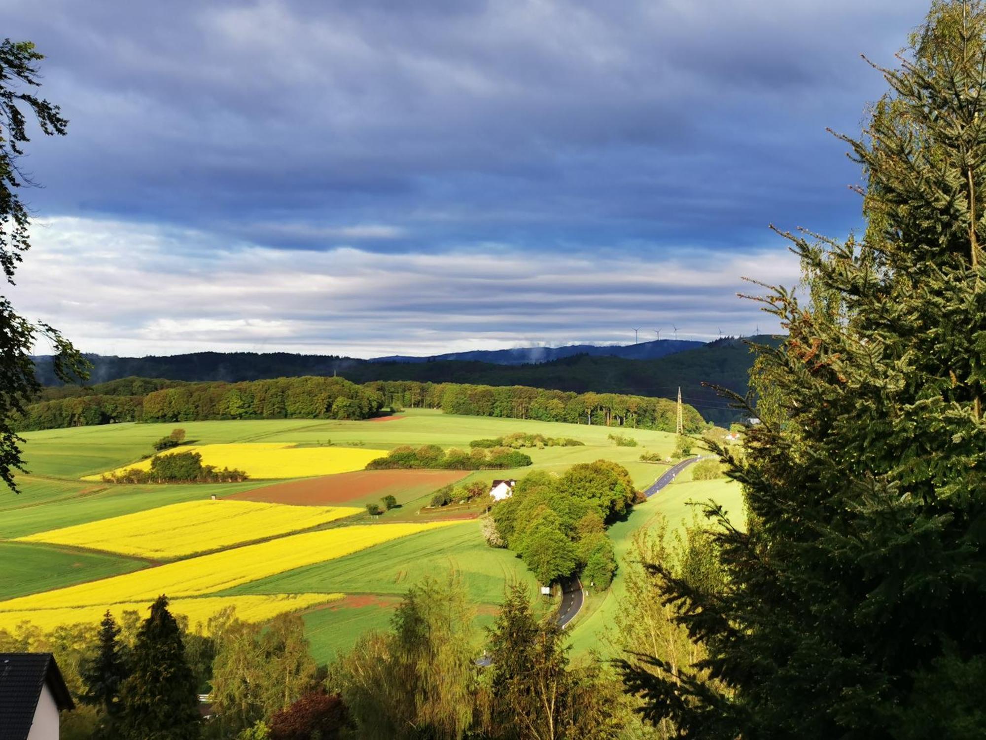 Geraeumige 2-Z Wohnung Im Gruenen, Garten, Terrasse, Ruhig, Natur, Phantastischer Blick! Marburg Екстер'єр фото
